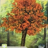 Forest Shuffle: Maple Promo Card