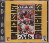 Video Game: Unnecessary Roughness
