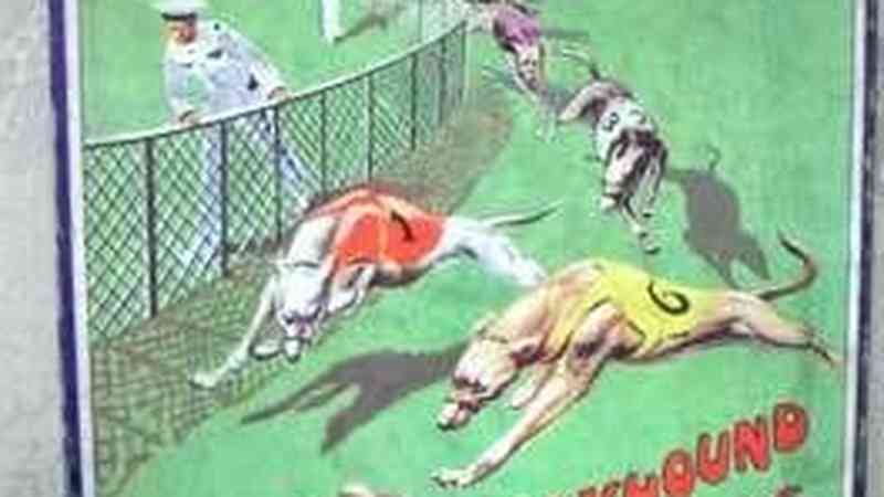 Greyhound Racing: The Great Game