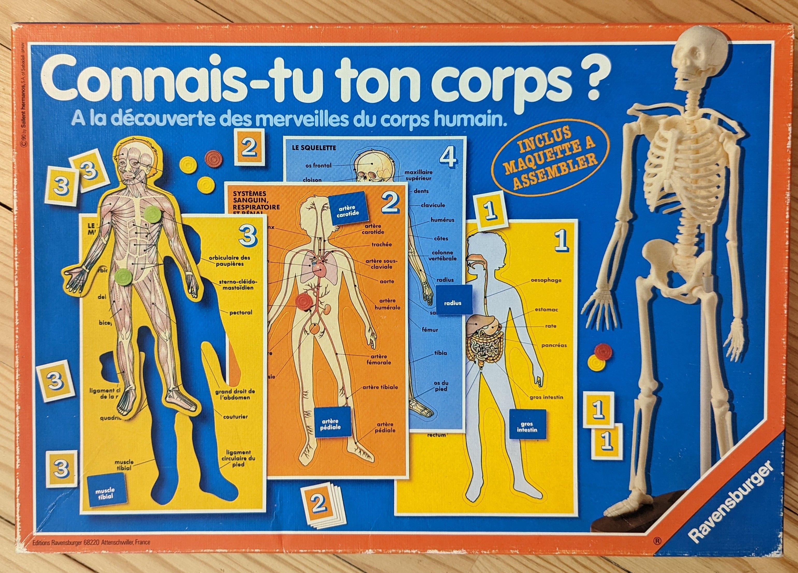 Connais-tu ton corps?