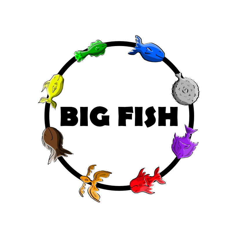 Big Fish cover