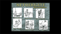 Video Game: Nethergate: Resurrection