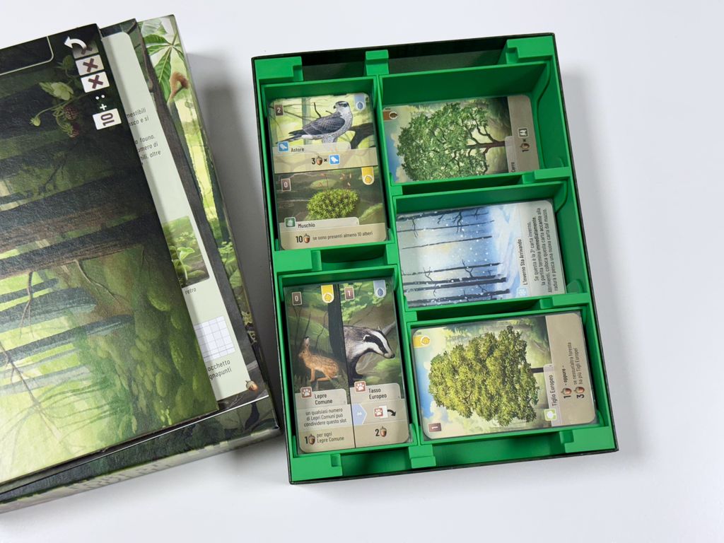 Forest Shuffle Custom 3D Insert | Forest Shuffle