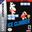 Video Game: Ice Climber