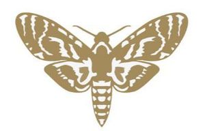 Moth (fan expansion for Hive)