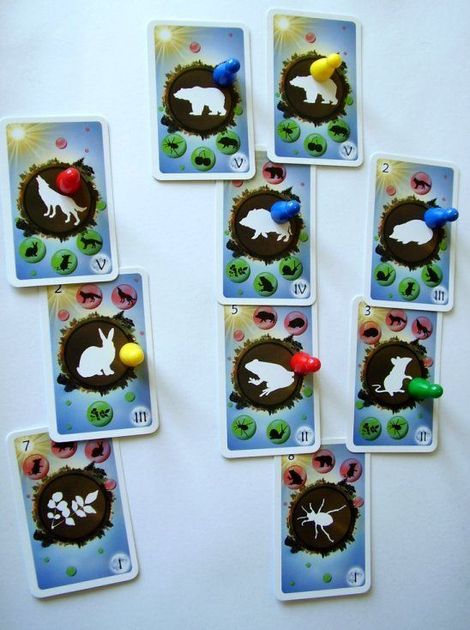 BoardGameGeek Biology Diagrams