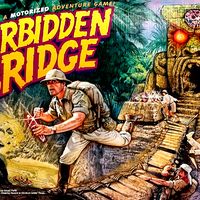 Forbidden Bridge