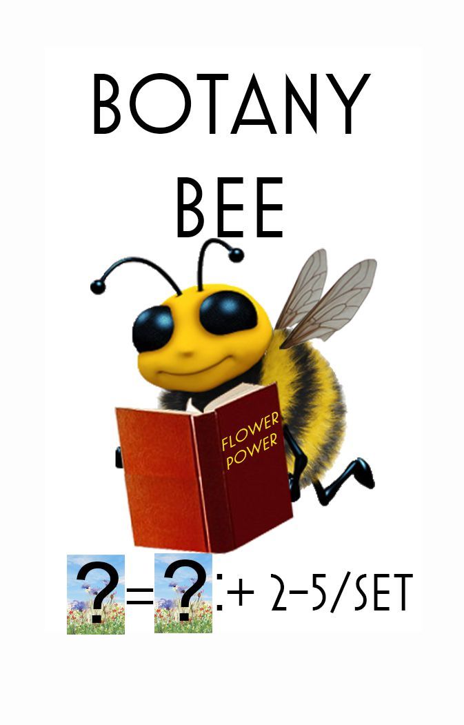 Nimbee: The Bee's Knees