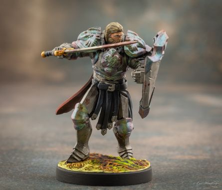 Oathsworn: The Warden Don #39 t Play Gray