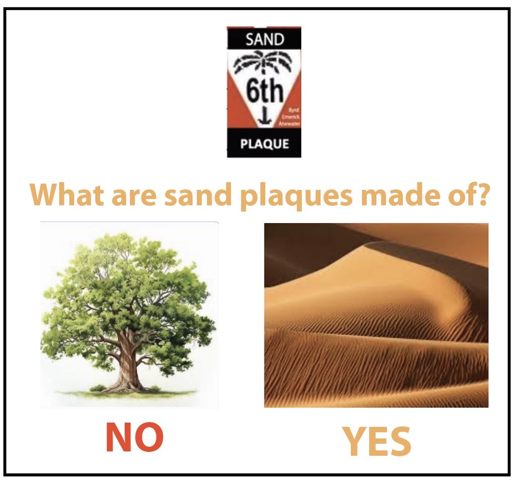 Sand Tribe WBC 2024, 2025