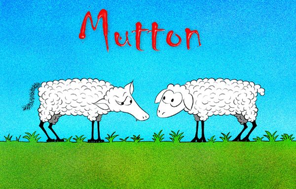 Coperta Mutton