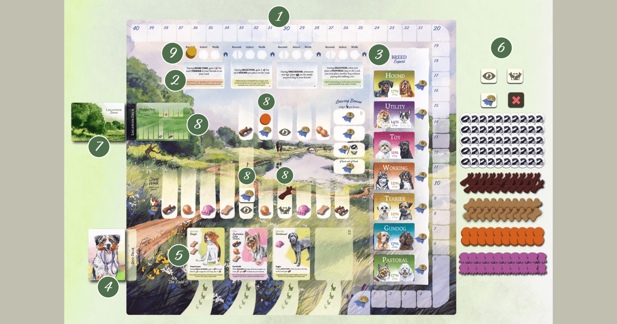 dog-park-rules-explanations-and-tabletopia-thoughts-in-mandarin