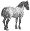 Character: Horse (Generic)