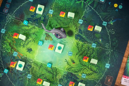보드 게임: 켈프: 상어 vs 문어