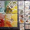 Realm Boards, Dragon and Spirit cards