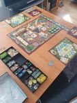 Board Game: The Castles of Burgundy