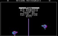 Video Game: Arcade Volleyball