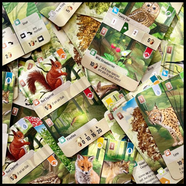https://cf.geekdo-images.com/X0cMOMVVv2pu8E0Acu20og__imagepage/img/1kdKWNeROTSN9l11m-ASKtEUrjw=/fit-in/900x600/filters:no_upscale():strip_icc()/pic7904214.jpg