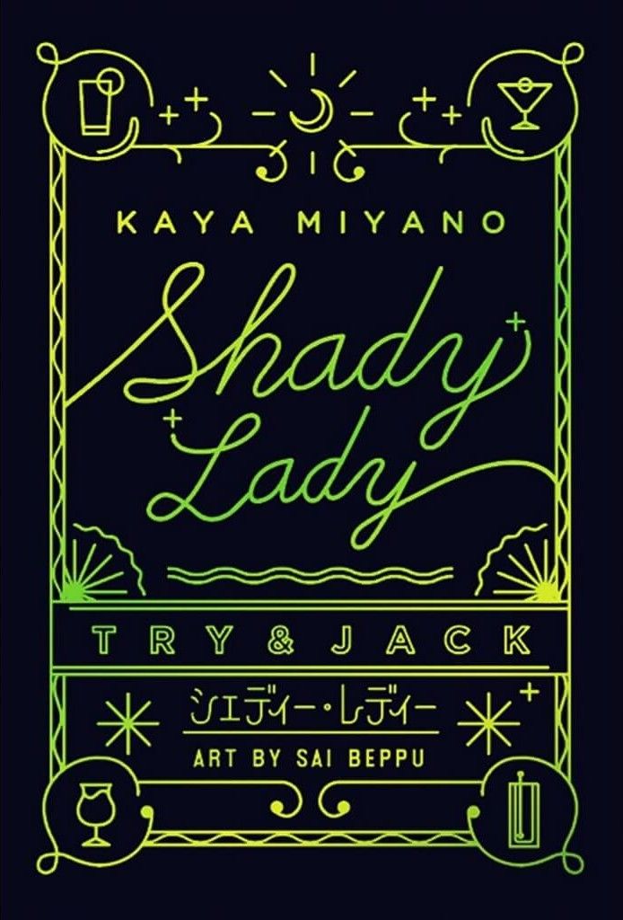 Boîte du jeu Shady Lady