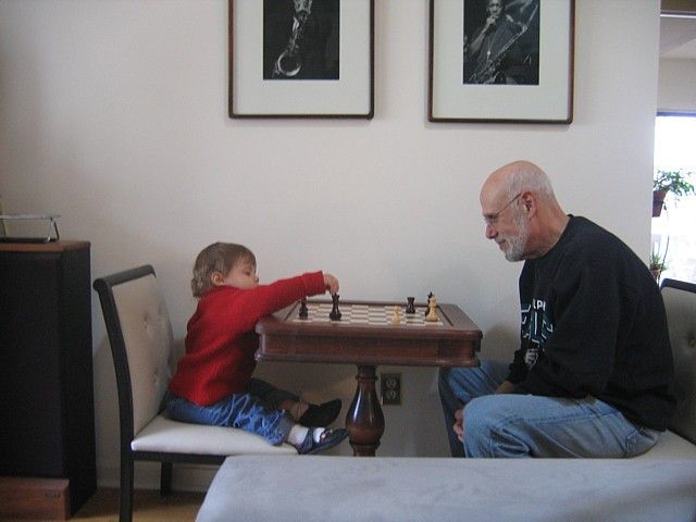 Illustration 12 de Open Chess: A Customizable Smart Chess Board Kit