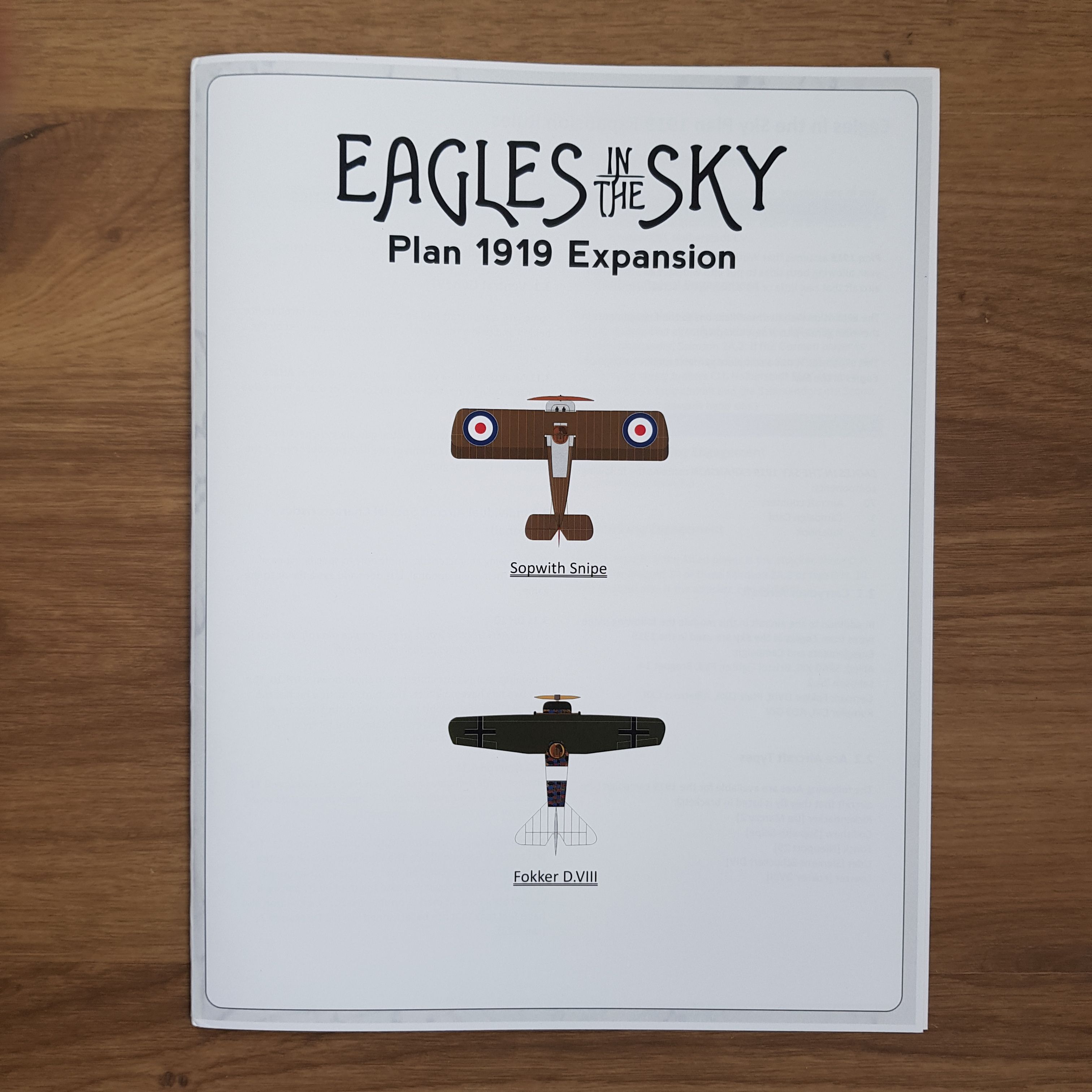 Eagles in the Sky: Plan 1919 Expansion