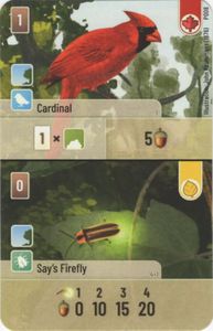 Forest Shuffle: Cardinal / Say's Firefly Promo Card