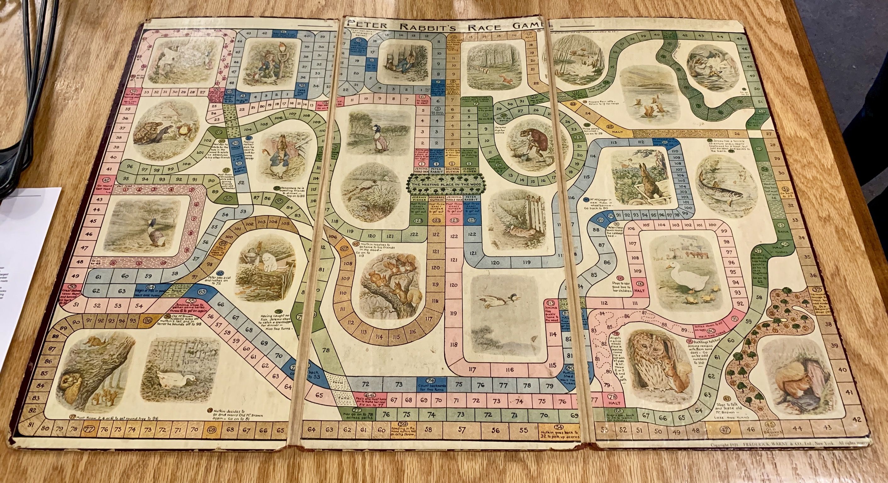Coperta Beatrix Potter's Peter Rabbit Race Game