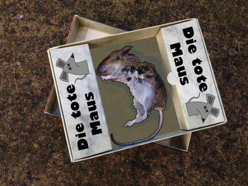 Die Tote Maus Every Man Needs A Shed Boardgamegeek