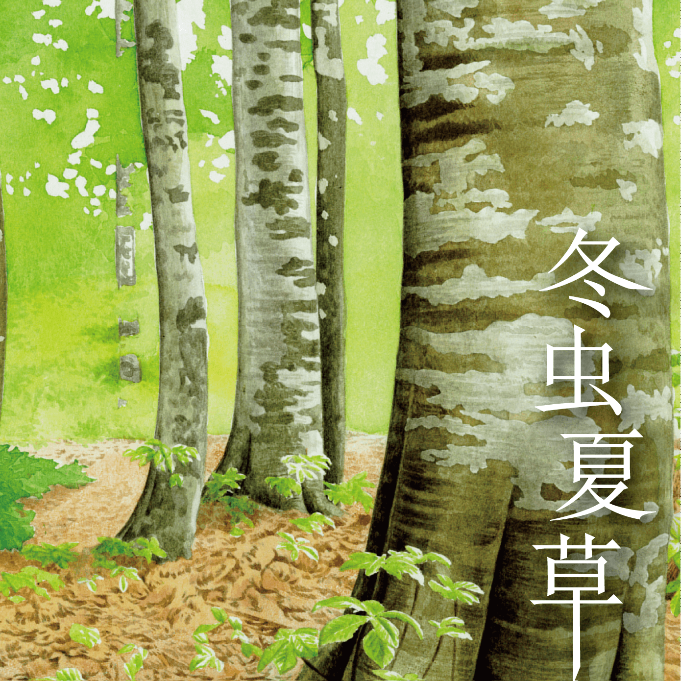 冬虫夏草 (Caterpillar Fungi) box art