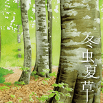 冬虫夏草 (Caterpillar Fungi)