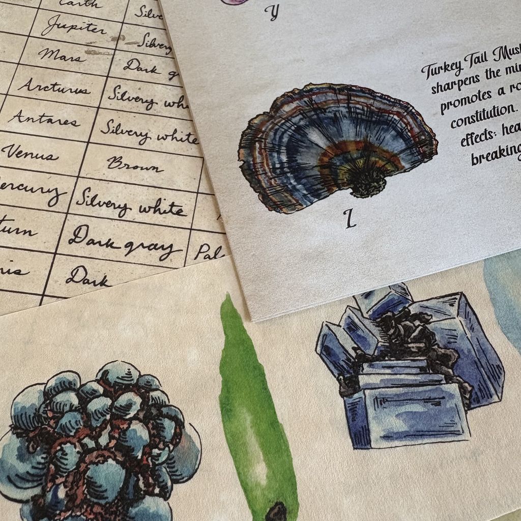 Illustration 3 de Emerald Echoes - A Narrative Puzzle Adventure Game