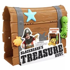 Blackbeard's Treasure Hunt