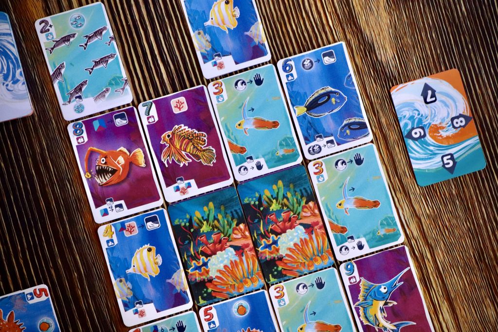 Illustration 11 de Fintastic Sea