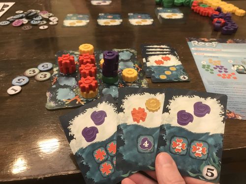 Game Preview: Reef, or Cracking the Four-Color Coral Theorem