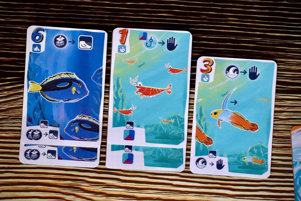 Illustration 1 de Fintastic Sea