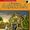 Agricola (Revised Edition) game