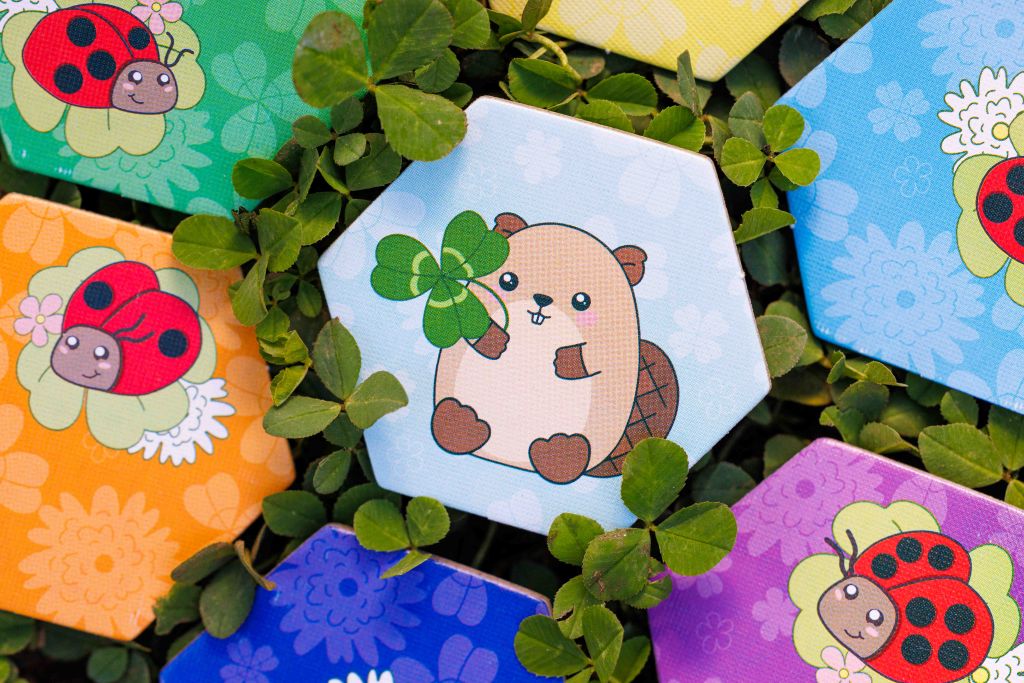 Illustration 1 de Rainbow Flip and Slide