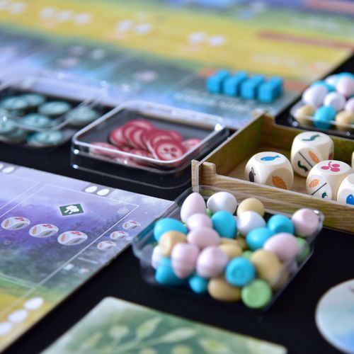 Board Game: Wingspan