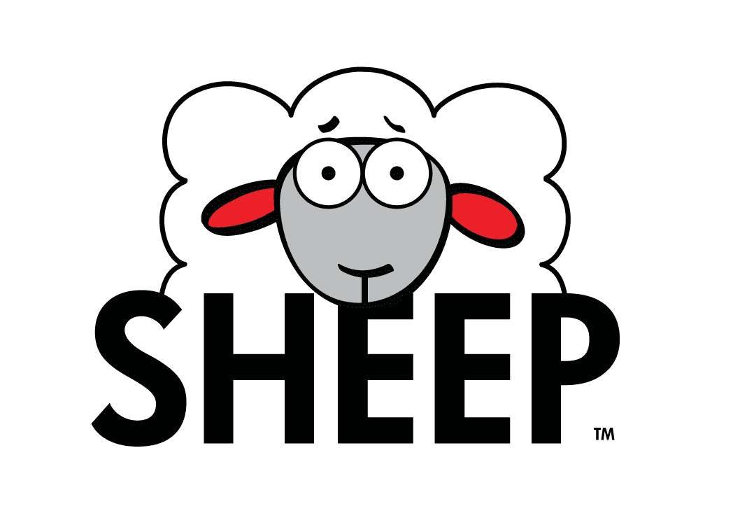 Sheep!