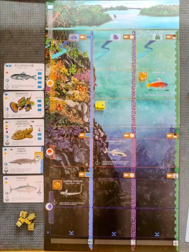 Scoring and Forage Fish Printed on the Player Boards | Finspan