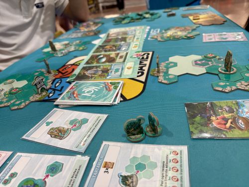 Koi - First impressions on the Bonsai heir | BoardGameGeek