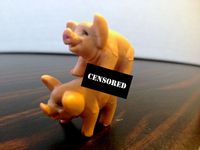 Board Game: Pass the Pigs