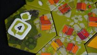 Board Game: Dorfromantik: The Board Game