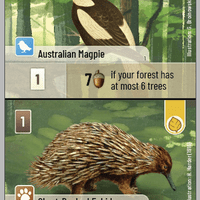 Forest Shuffle: Australian Magpie / Short-Beaked Echidna Promo Card