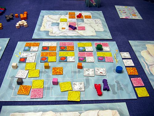 Board Game: Reef Encounter