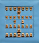 Tori Shogi