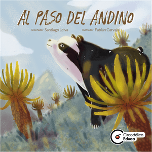 Al Paso del Andino