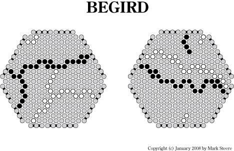 Begird