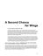 RPG Item: A Second Chance for Wings