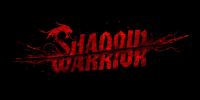 Video Game: Shadow Warrior (2013)